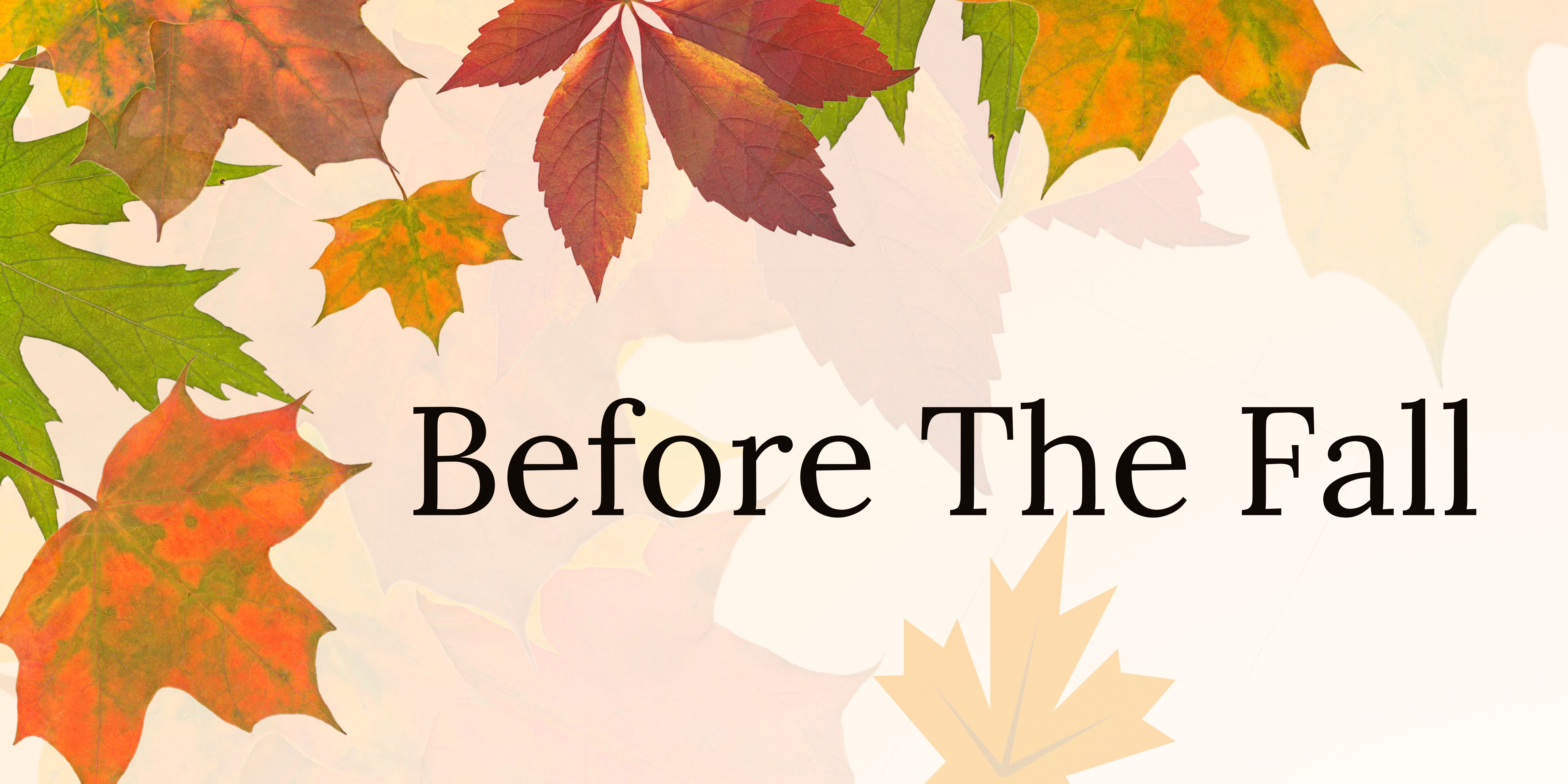 Home Care – Before The Fall